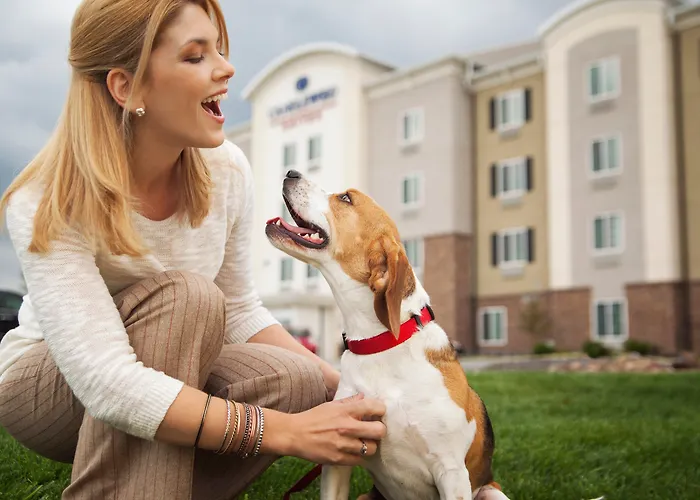 Sonesta Simply Suites Dallas Richardson